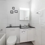 Wildeggstrasse Apartment