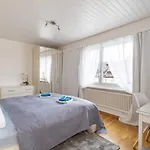 Wildeggstrasse Apartment