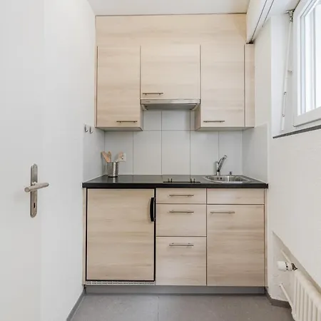 Wildegg Apartment *