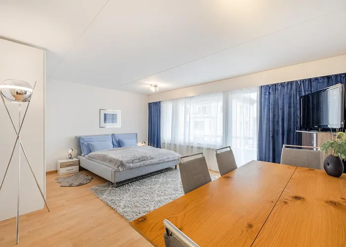 Apartament Wildeggstrasse
